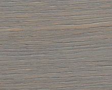 FOREST LAKE