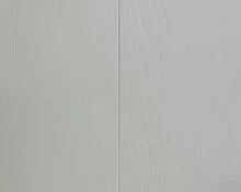 RAL 9002 - Grey white