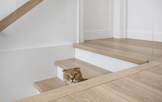 What makes Ecohardwood eco-conscious brand
