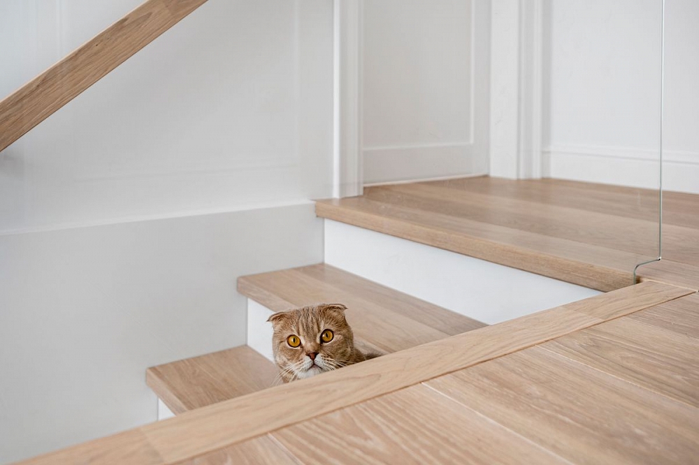 Breaking through the myths | 5 reasons why engineered oak wood flooring is not as expensive as you think