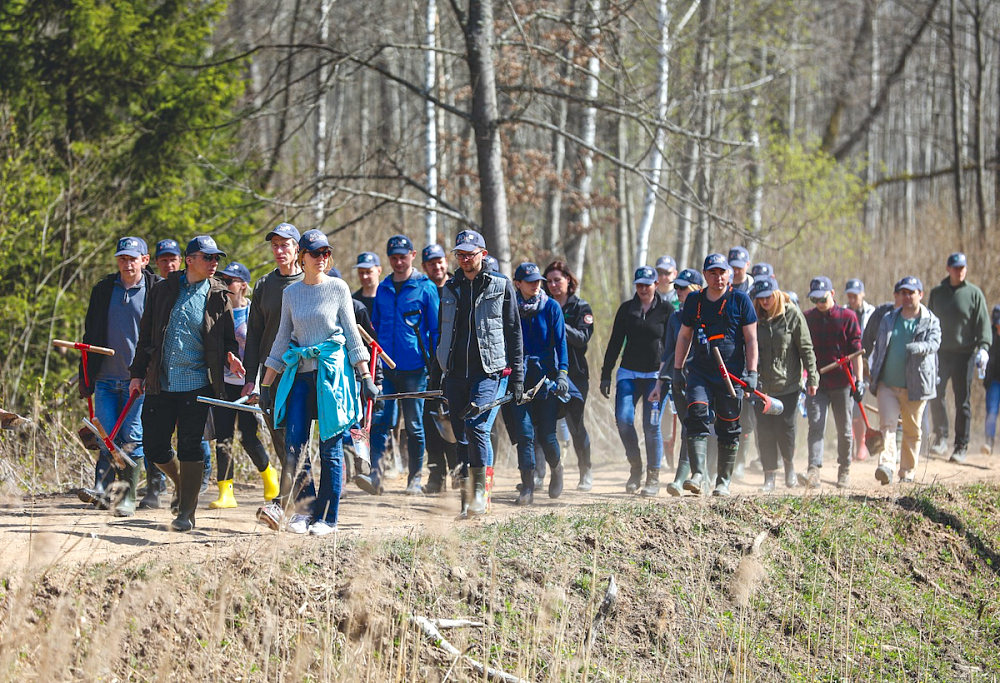 Being a sustainable wood flooring brand: tree planting and other activities at Ecohardwood