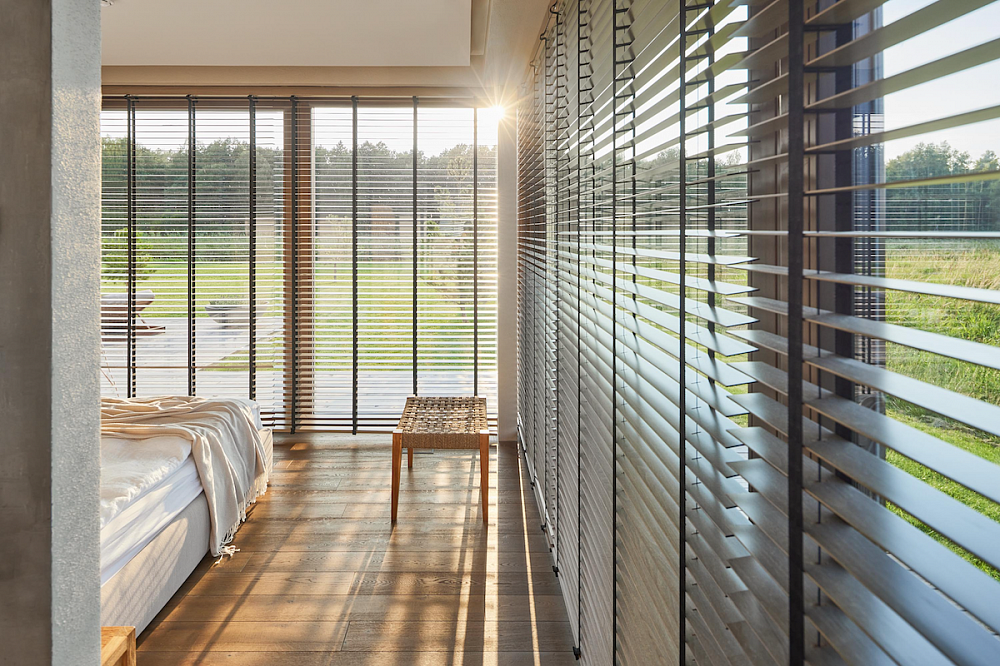 Biophilic Design: Transforming Spaces with Nature’s Touch