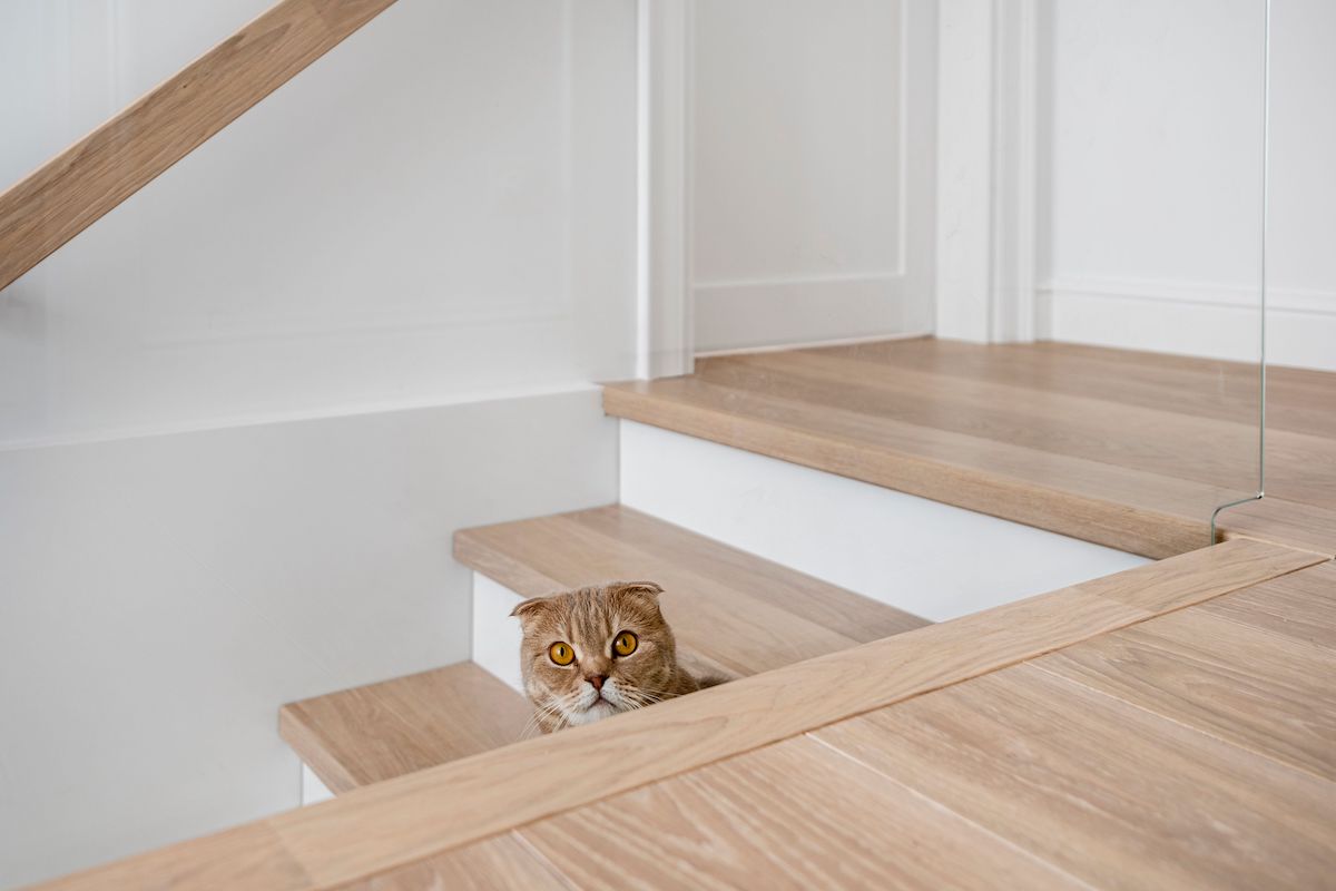 white oak engineered flooring